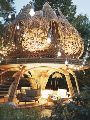 A picture containing tree, outdoor Description automatically generated