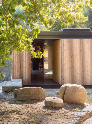 A picture containing tree, outdoor, ground, plant Description automatically generated