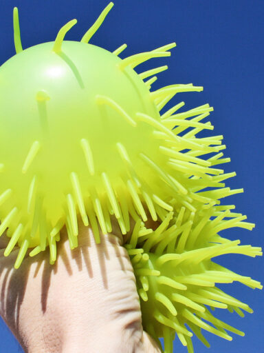 A close up of a flower Description automatically generated with low confidence
