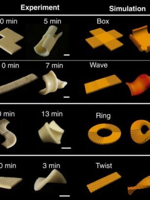 A picture containing text, screen Description automatically generated