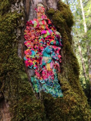 A picture containing tree, outdoor, plant, colorful Description automatically generated