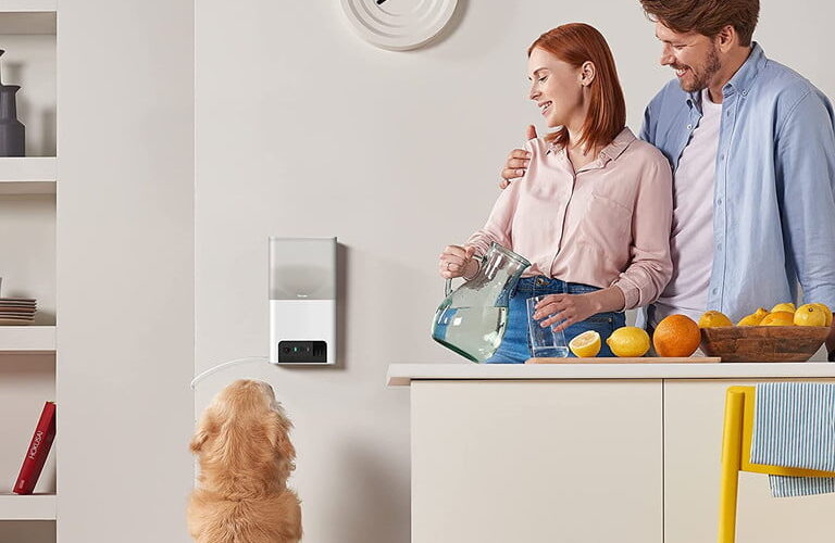 Thiết bị Bites 2 Lite được gắn trên tường.