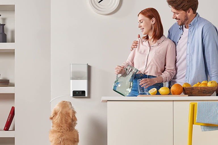 Máy ảnh theo dõi thú cưng Petcube Bites 2 Lite có thể kết nối đến bác sĩ thú y