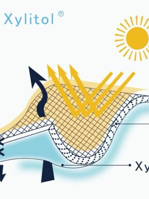 Diagram Description automatically generated